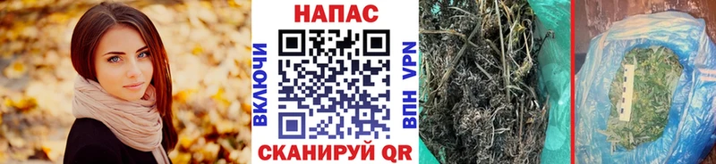 Бошки Шишки THC 21%  Шумиха 